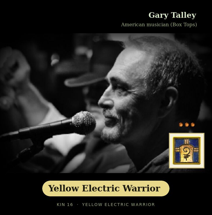 Gary Talley - Kin 16 Yellow Electric Warrior