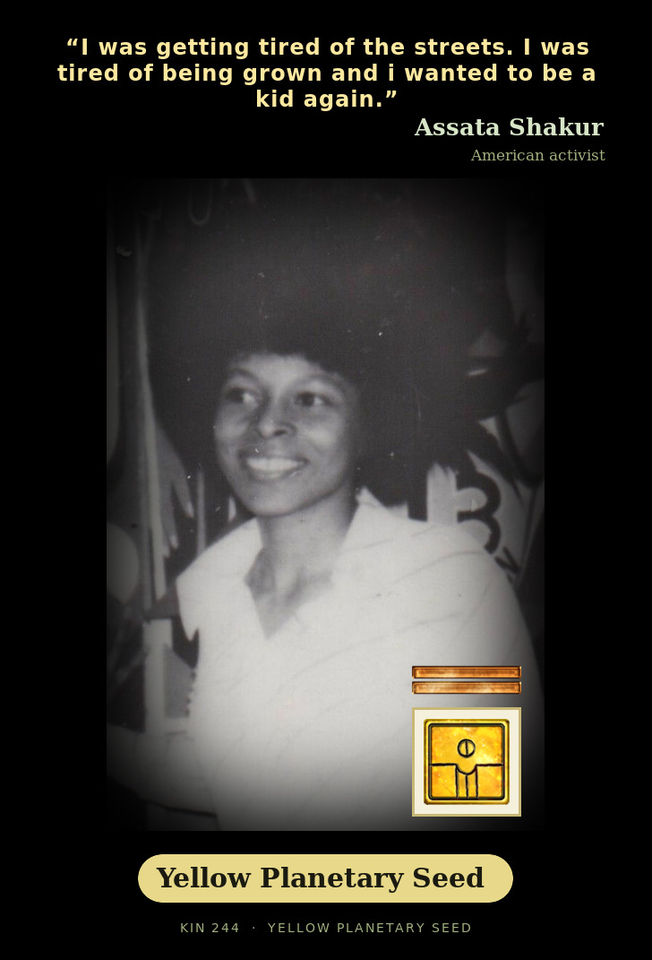 Assata Shakur - Kin 244 Yellow Planetary Seed