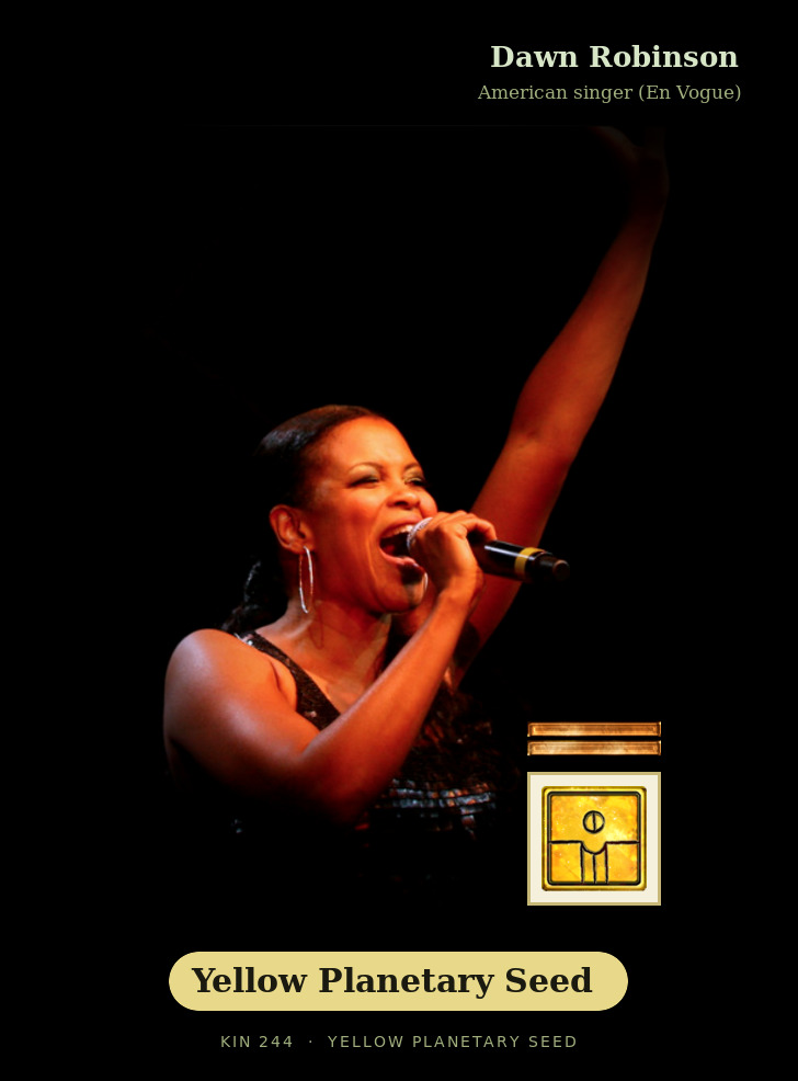 Dawn Robinson - Kin 244 Yellow Planetary Seed