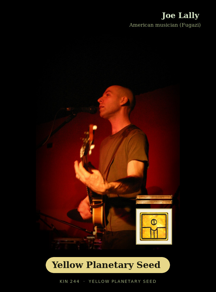 Joe Lally - Kin 244 Yellow Planetary Seed