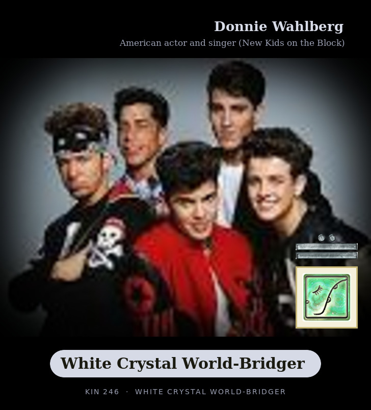 Donnie Wahlberg - Kin 246 White Crystal World-Bridger