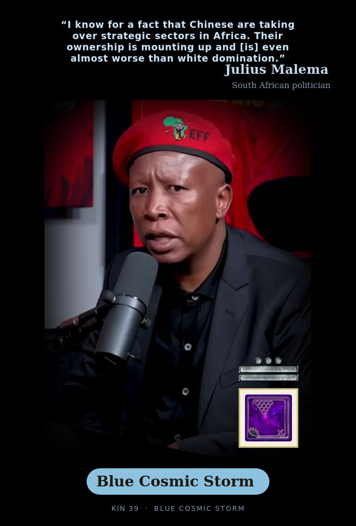 Julius Malema - Kin 39 Blue Cosmic Storm