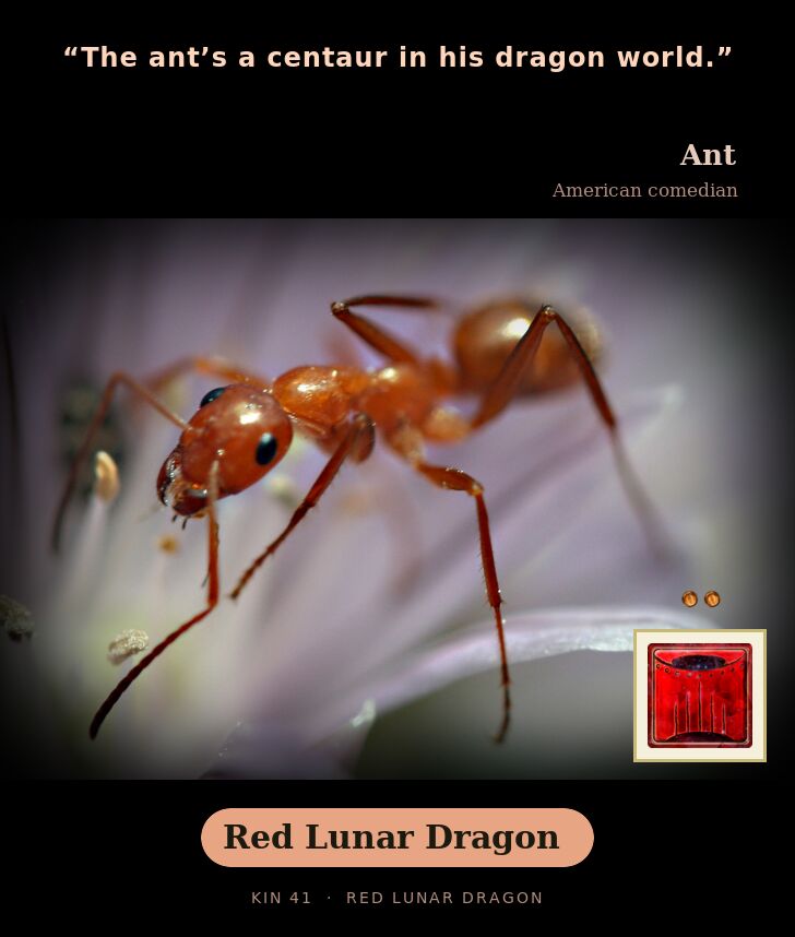 Ant - Kin 41 Red Lunar Dragon