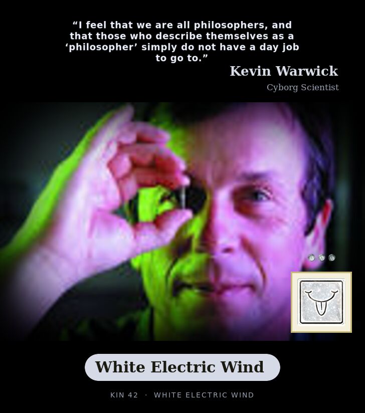 Kevin Warwick - Kin 42 White Electric Wind