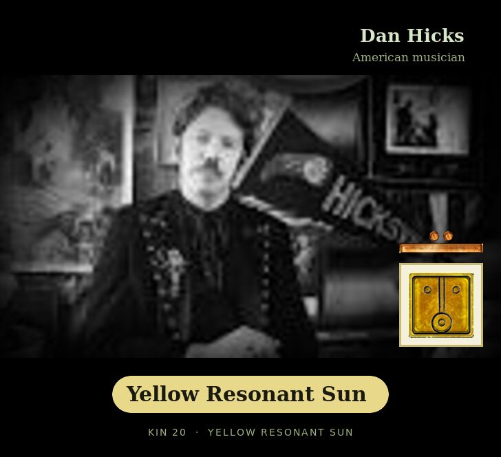 Dan Hicks · Yellow Resonant Sun