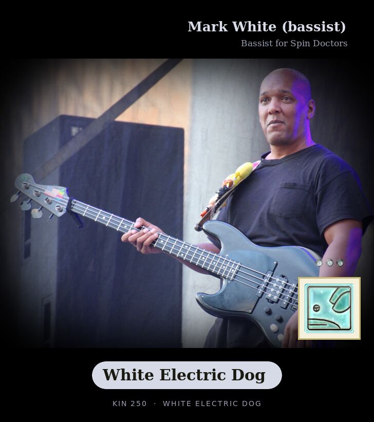Mark White (bassist) · White Electric Dog