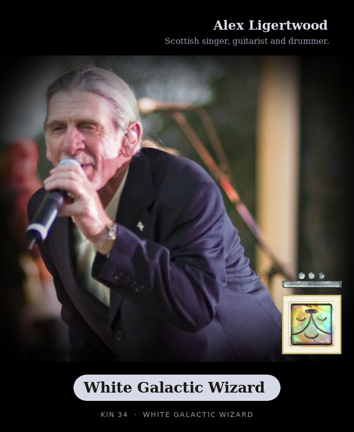 Alex Ligertwood · White Galactic Wizard