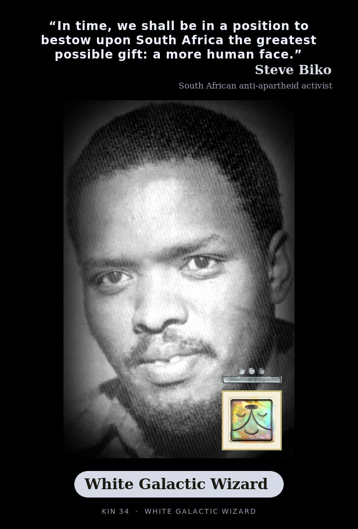 Steve Biko · White Galactic Wizard