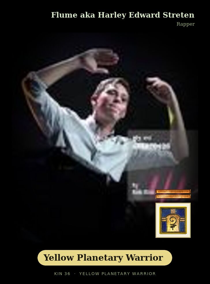 Flume aka Harley Edward Streten · Yellow Planetary Warrior