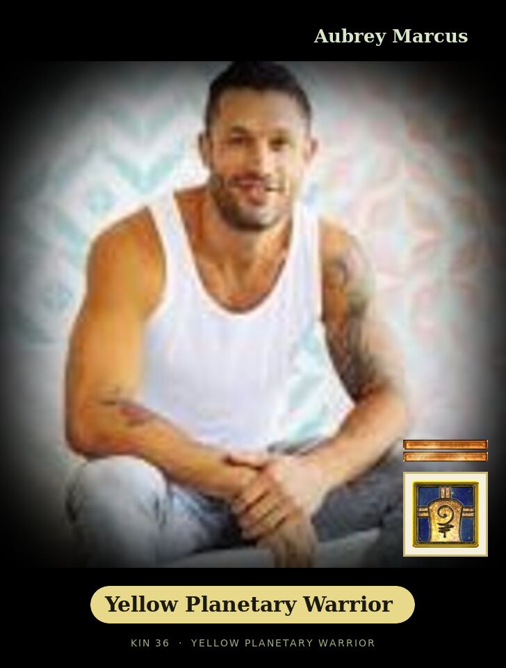 Aubrey Marcus · Yellow Planetary Warrior