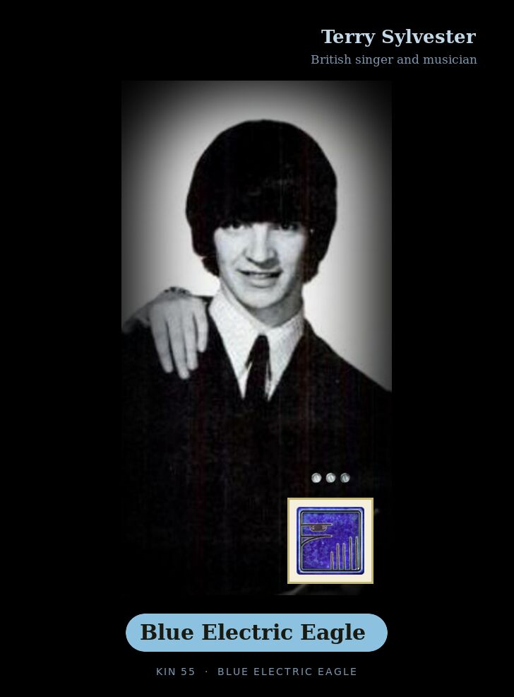Terry Sylvester · Blue Electric Eagle