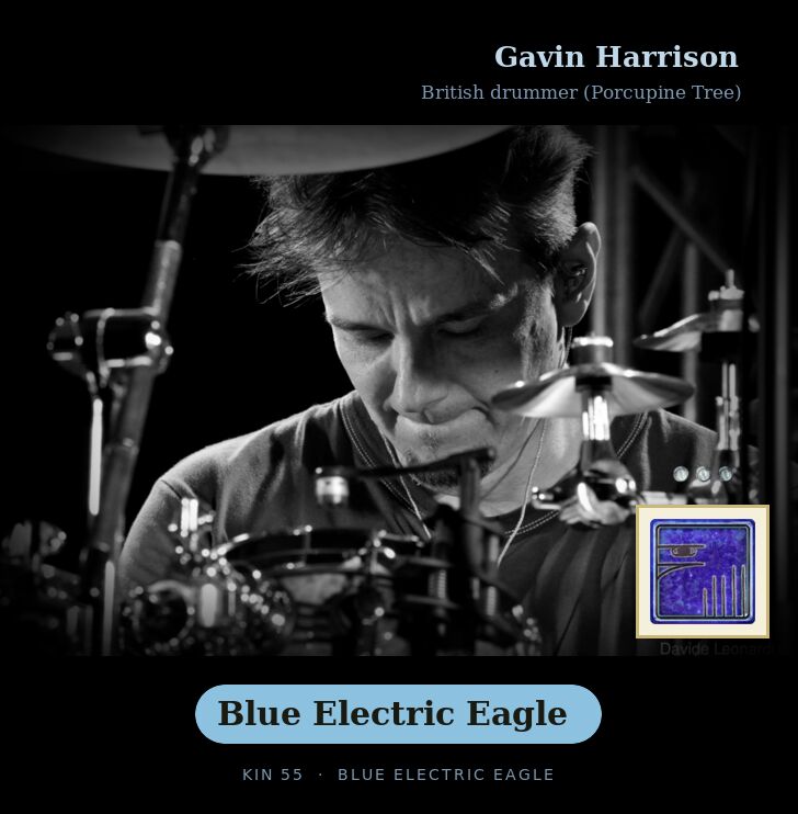 Gavin Harrison · Blue Electric Eagle