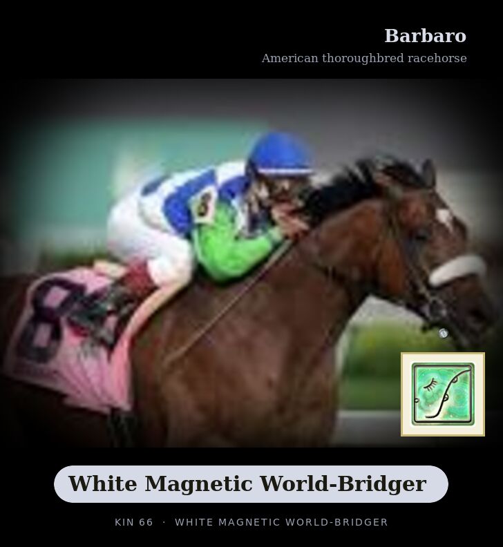 Barbaro · White Magnetic World-Bridger